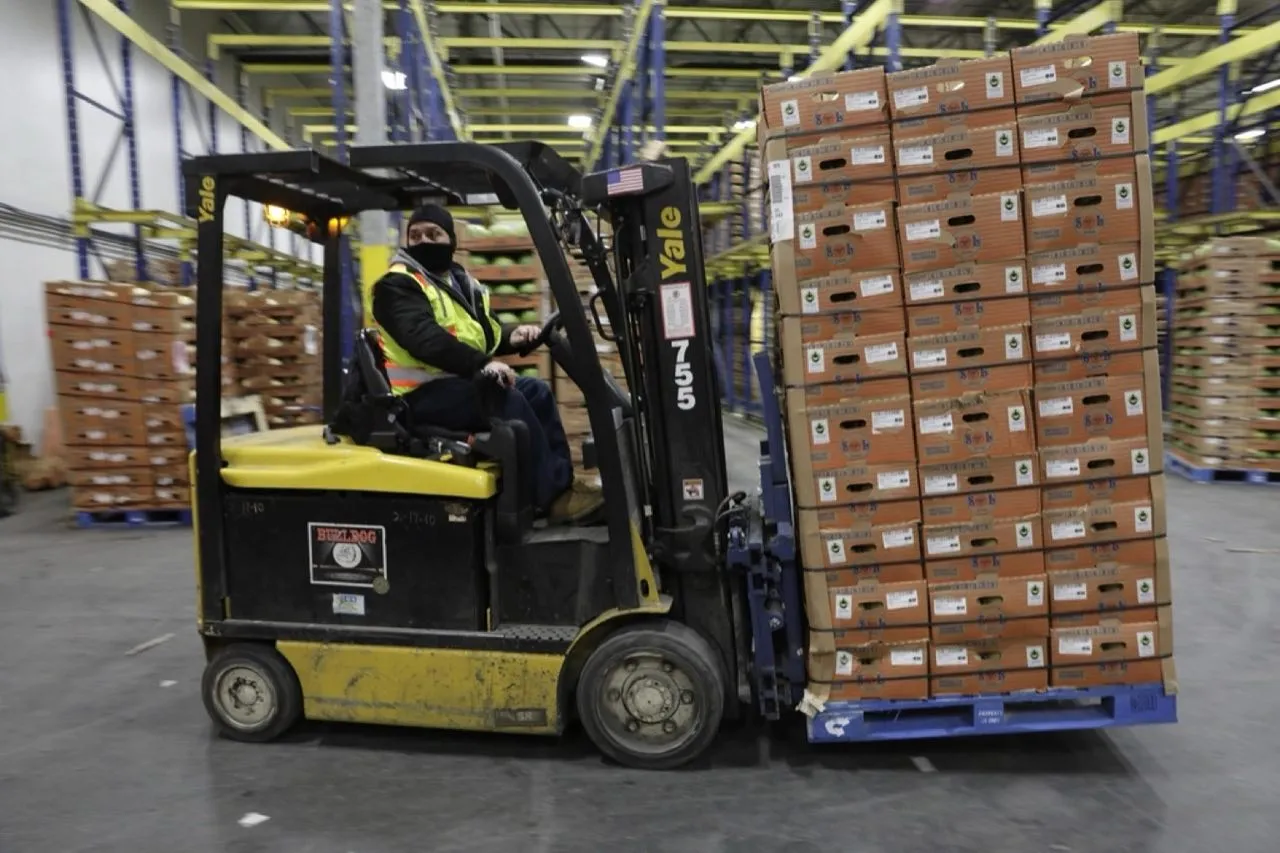 Warehouse handling and palletised dispatch